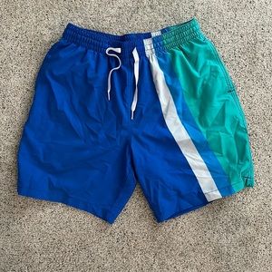 Chubbies swimsuit